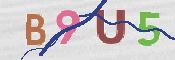 Obrazek CAPTCHA